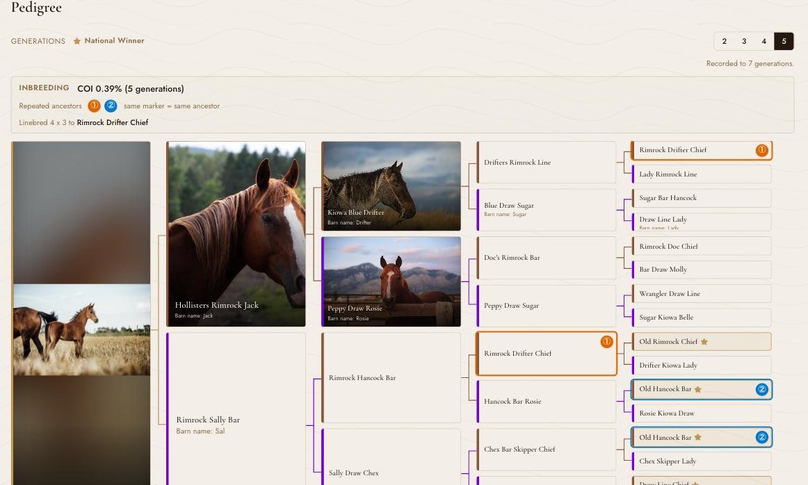A five-generation pedigree chart with ancestor photos, numbered repeat-ancestor markers, an inbreeding coefficient and a linebreeding note