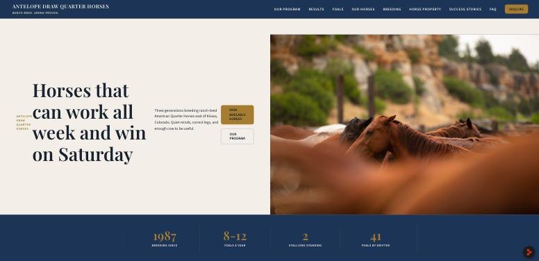 Classic look: navy and gold with a Playfair Display face